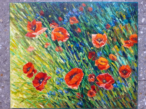 Poppy meadow