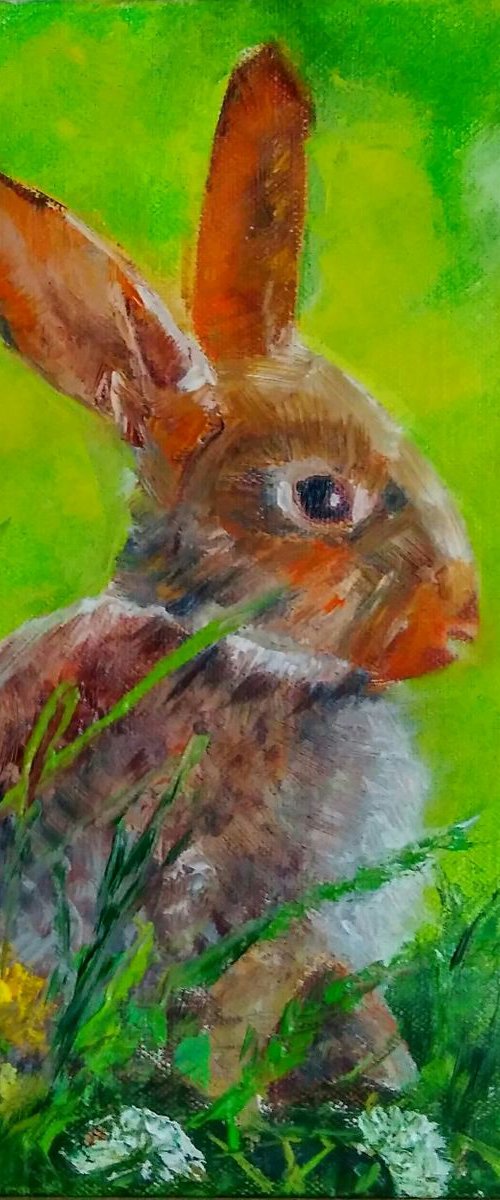 Bunny by Yulia Berseneva