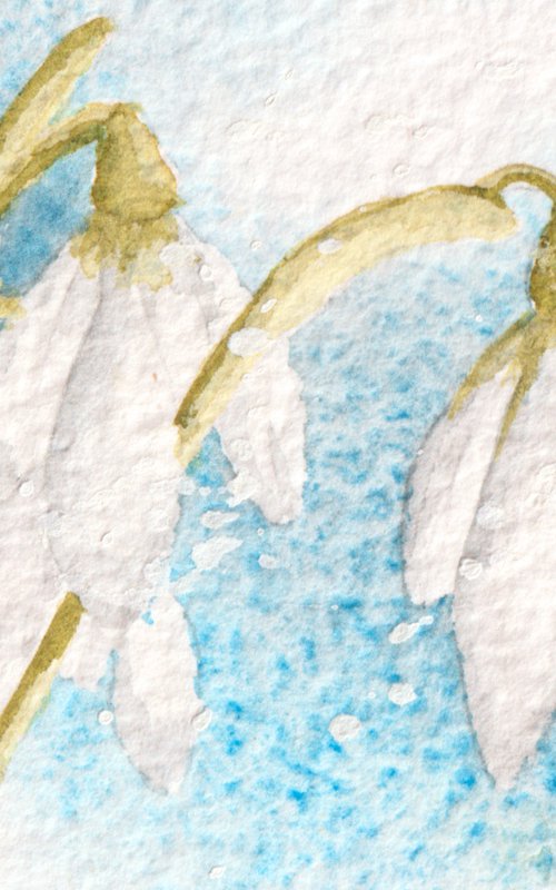 Sapphire Snowdrops by Alison Fennell