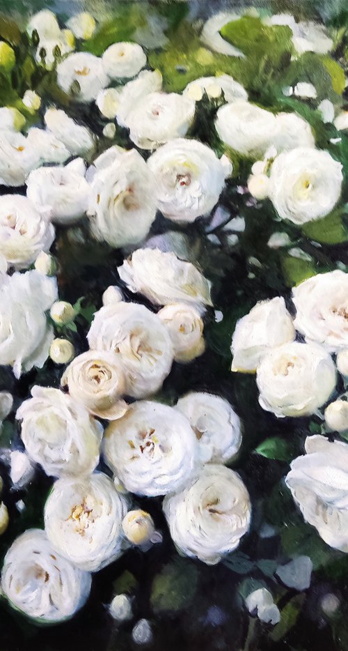 White Roses by HELINDA (Olga Müller)