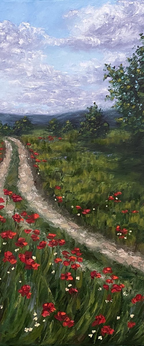 Lovely poppy field by Olga Kurbanova