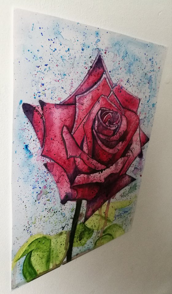 Watercolour Rose