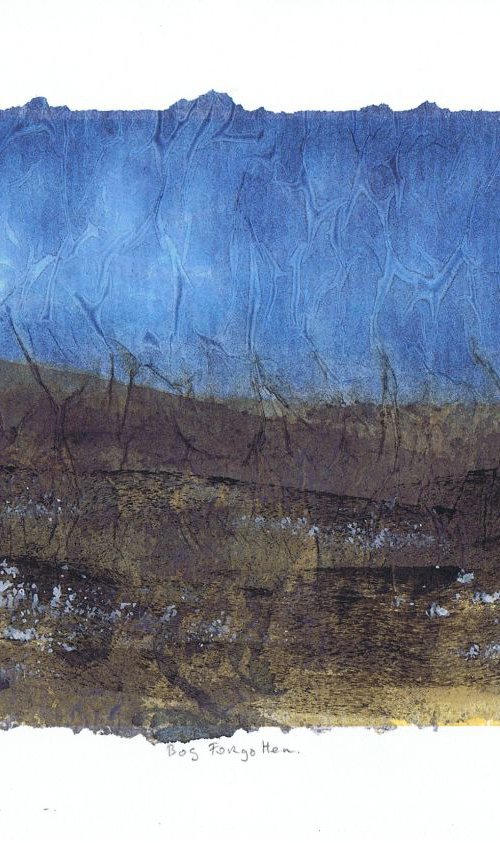 Bog Forgotten by Aidan Flanagan Irish Landscapes