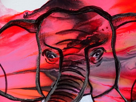 Elephant 1 pink