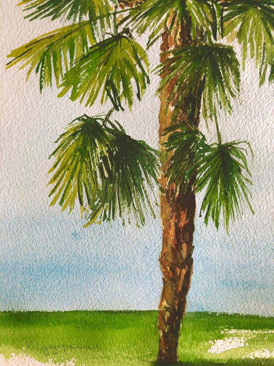 Palm tree - plein air