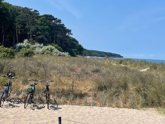 Beach on a sunny day