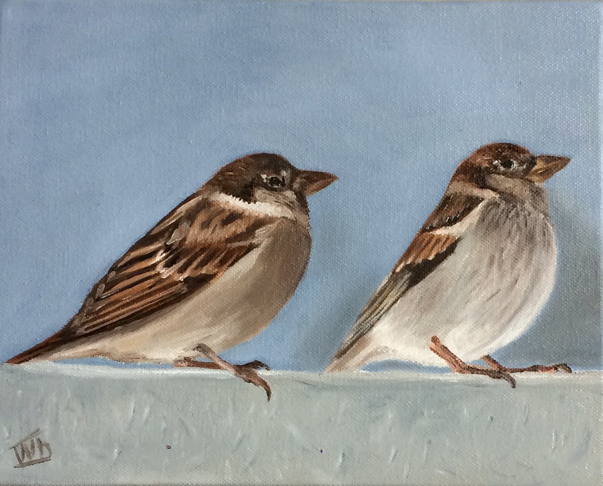 Young sparrows by Ira Whittaker