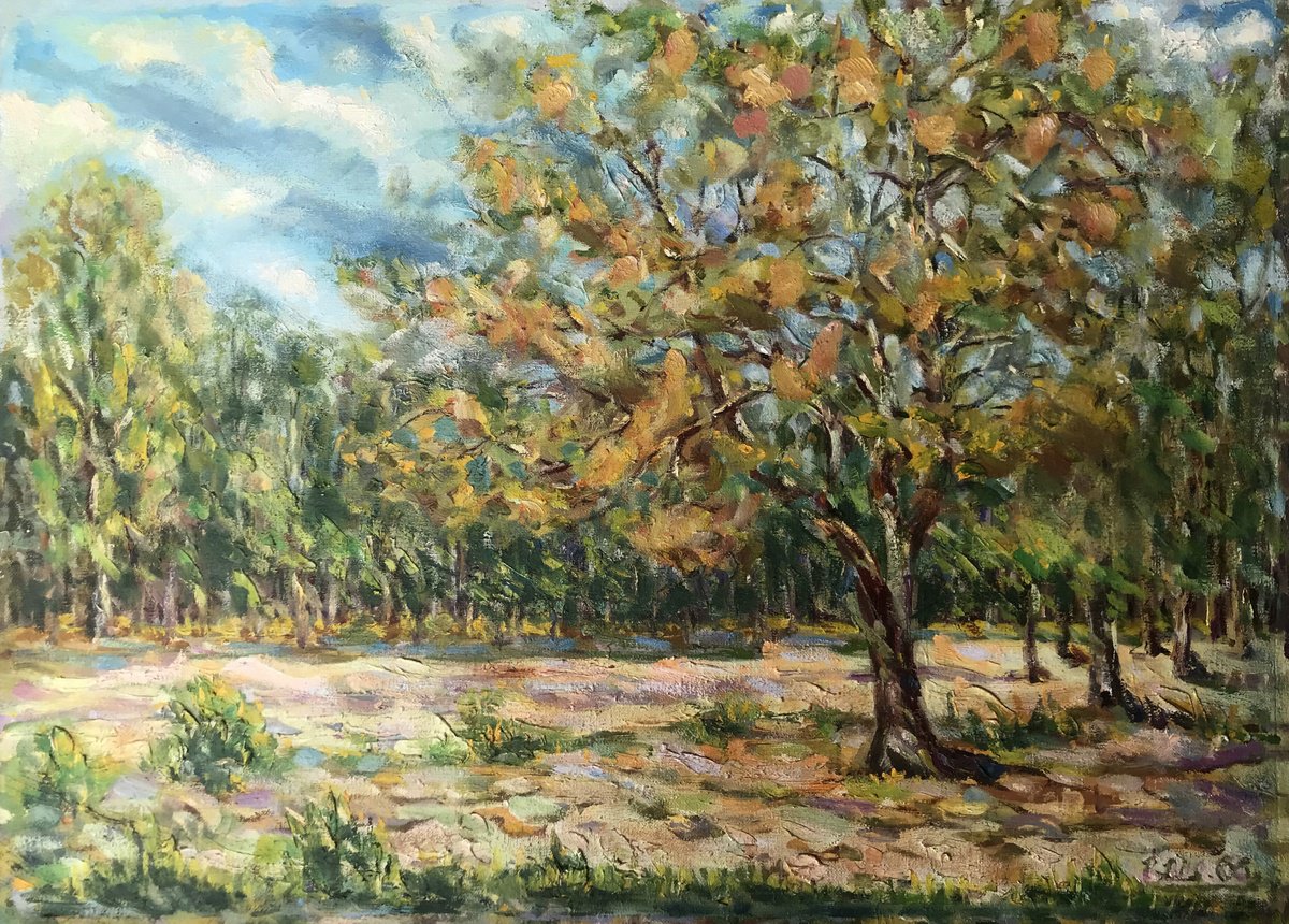 Impressionistic Landscape Oil Painting By Ivan Shapoval, 27 X 20, Autumn Recedes, Original Artwork