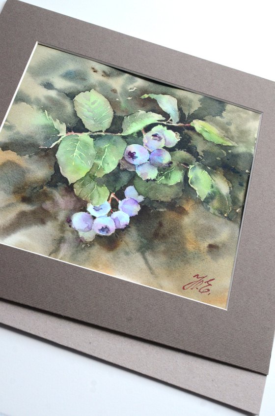 Blueberries ripen, Surprise in mom's garden, Small watercolor painting