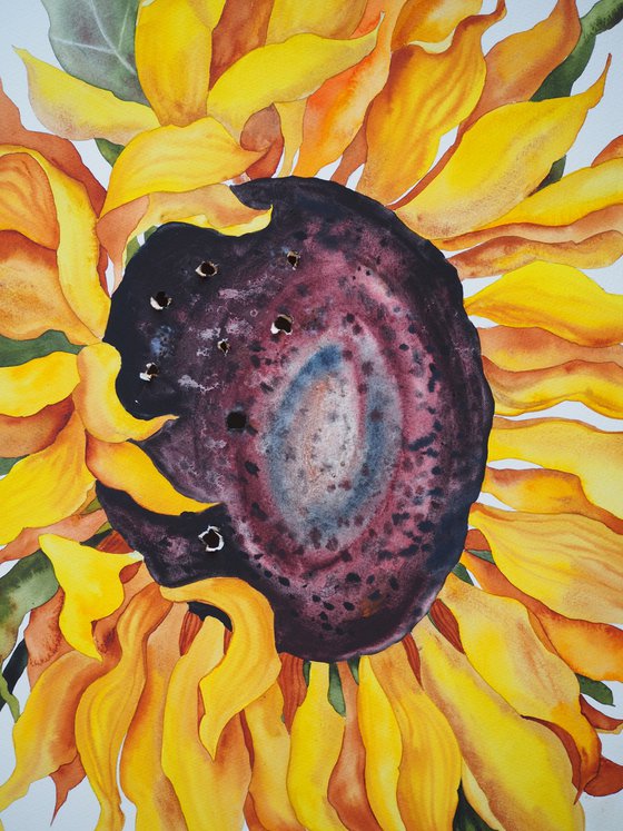Lost seeds