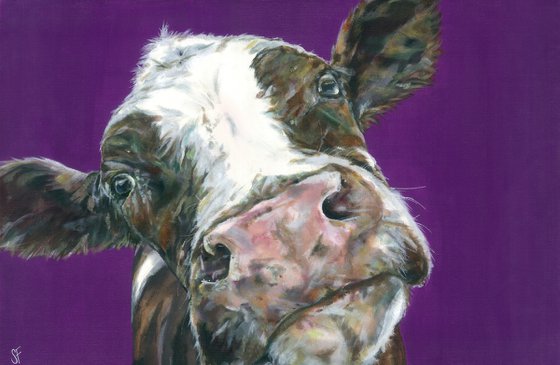 'Soppy Cow'