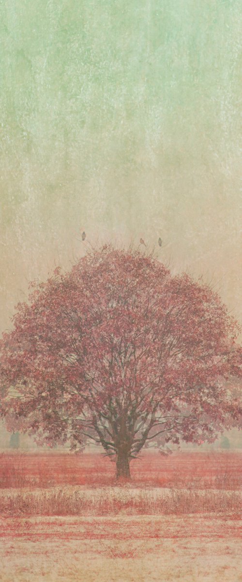 Pink tree (painted) by Louise O'Gorman