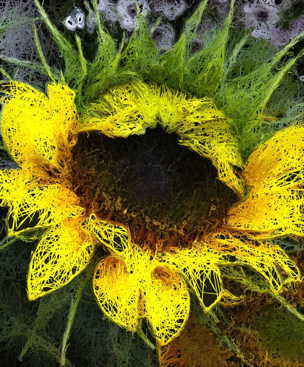 Lacy Sunflower by Barbara Storey