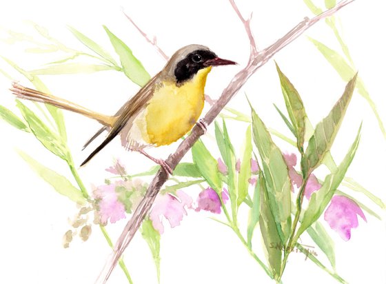 Common Yellowthroat