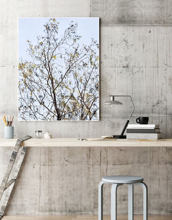 Tree branches