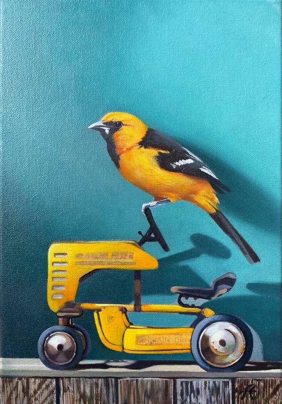Still life with bird and toy (24x35cm, oil painting, ready to hang)