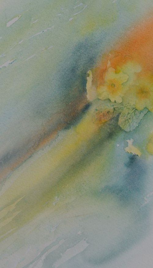 Primula Splash by JANE  DENTON