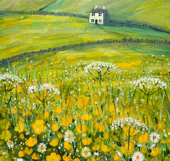 Buttercup Fields, landscape, Yorkshire, dales, countryside