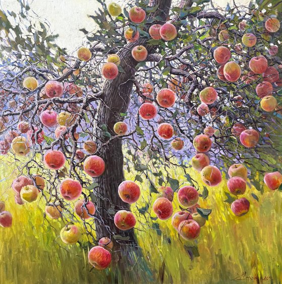 Apple Tree in Summer