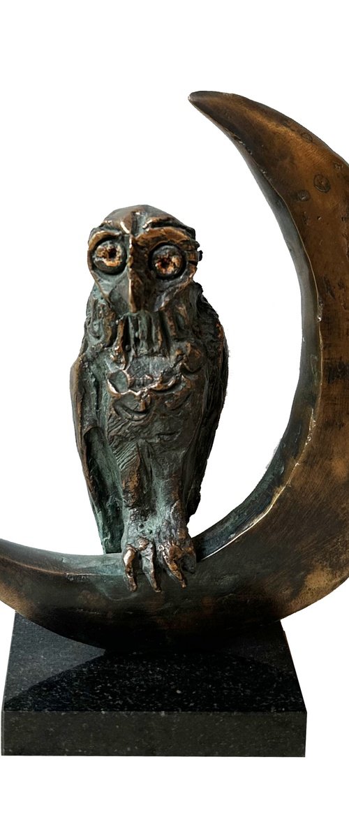 Owl - symbol of wisdom and wealth by Toth Kristof