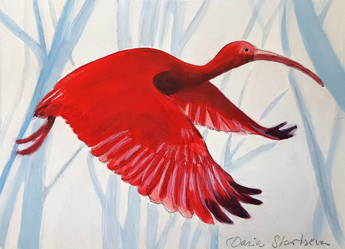 Illustrative Animal Acrylic Painting By Daria Startseva, 8 X 6, Scarlet Ibis Flying, Original Artwork