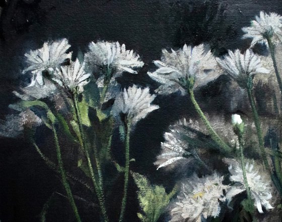 Flowers in the dark