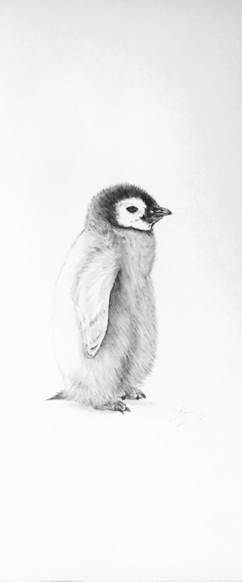 Penguin chick by Amelia Taylor