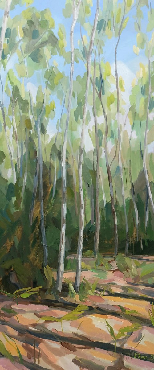Summer silver birches by Katharine Rowe