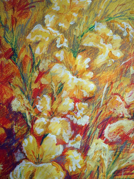 Gladiolus 2