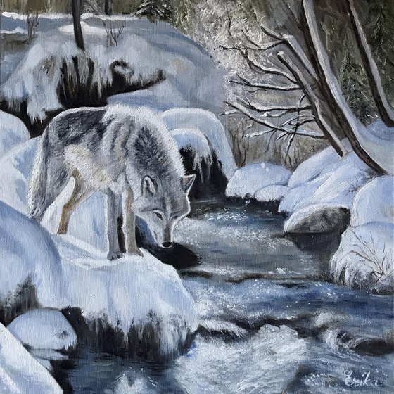 Wolf at the Creek