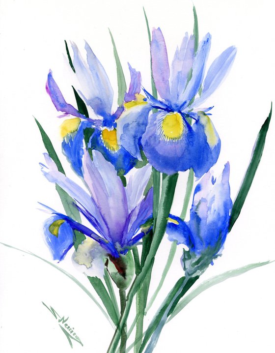 Blue Dutch Iris Flowers