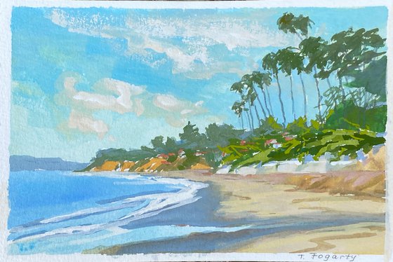 Butterfly Beach Santa Barbara Landscape