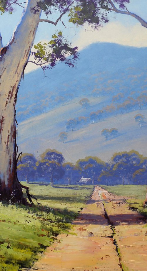 Australian Valley Gum Trees by Graham Gercken