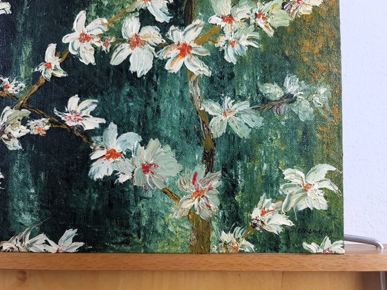 Cherries in bloom