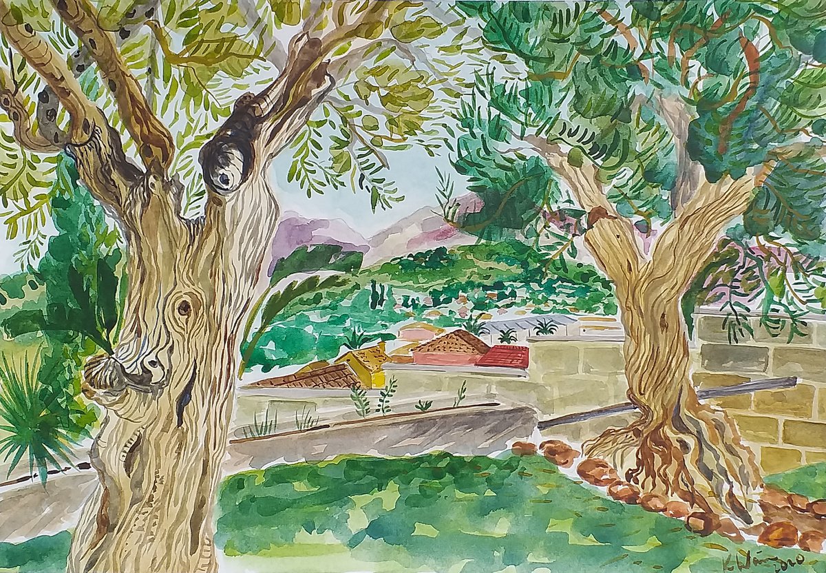 Two olive trees at Monteolivos, Andalucia by Kirsty Wain
