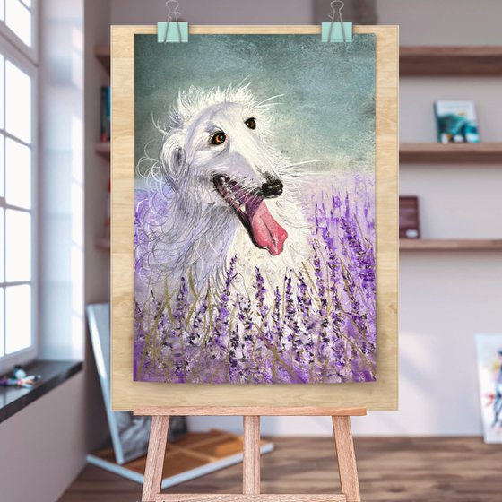 Dog Portrait Lavanda Field