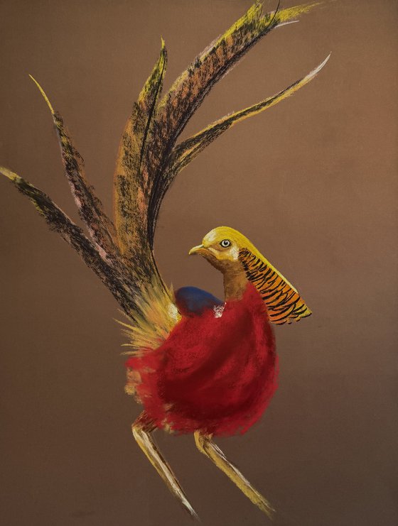 Golden phaesant Soft Pastel