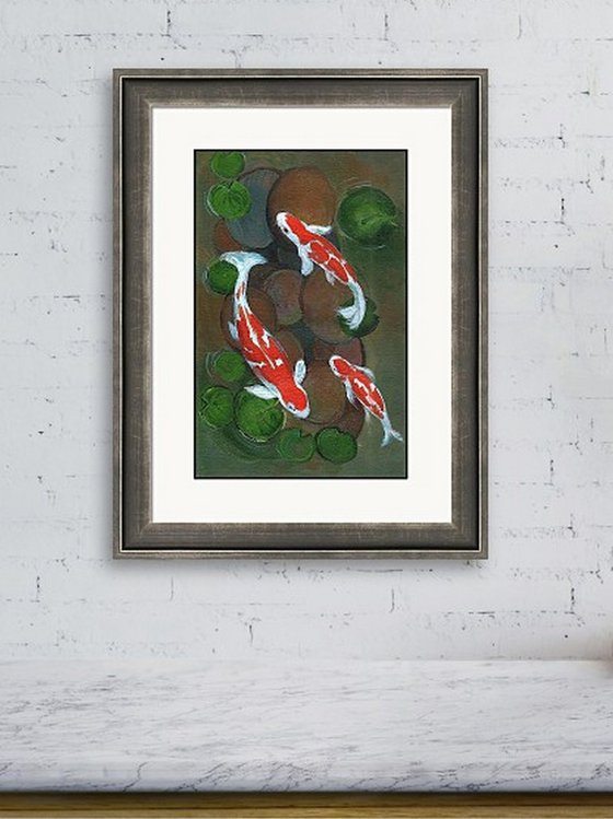 Koi fish in water lily pond