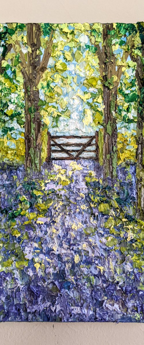 Woodland walks by Paige Castile