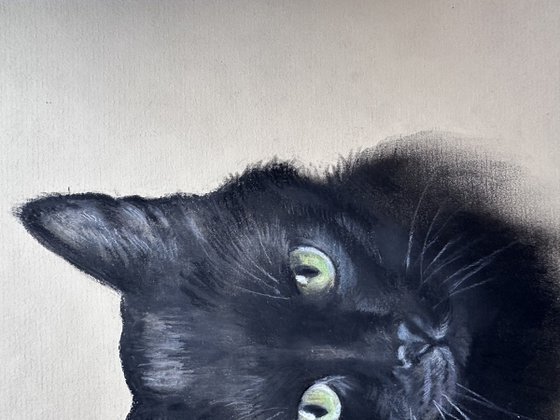 Portrait of Black Cat with Green Eyes