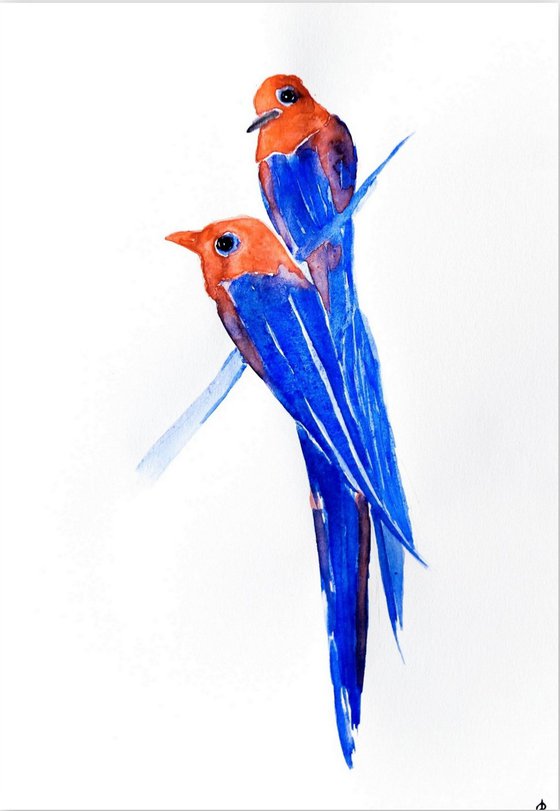 Birds