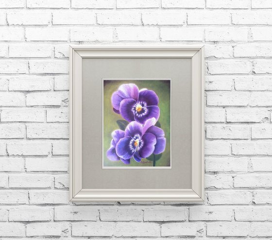 Purple pansy