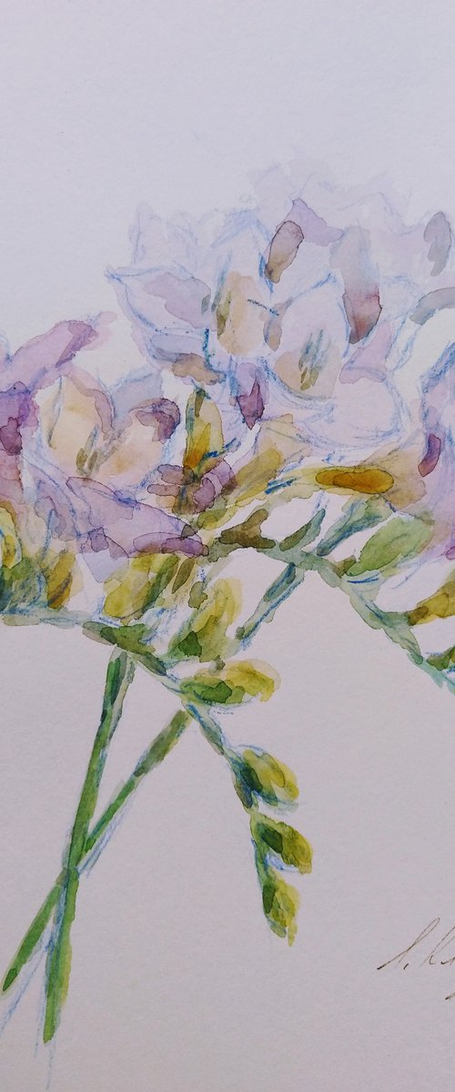 Freesias #2 original watercolour painting. by Elena Klyan