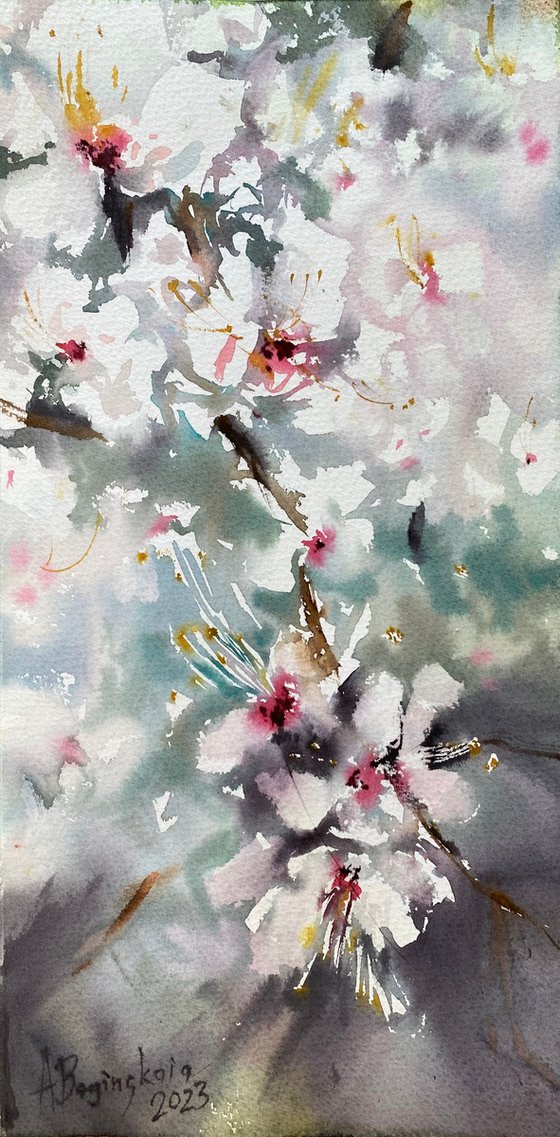 Blooming plum tree - watercolor sketch