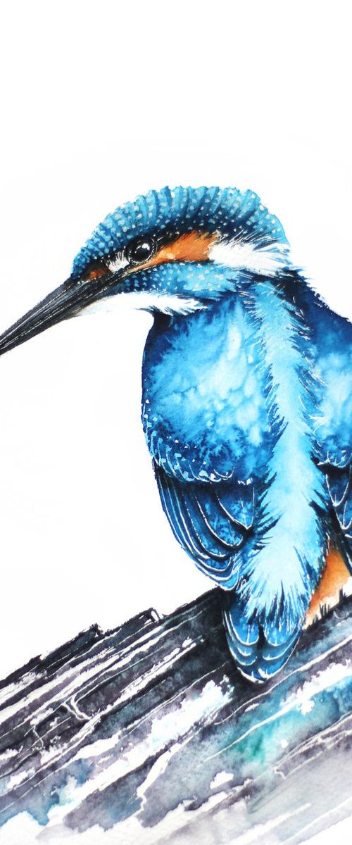 Kingfisher 21x30cm, birds, wildlife and animals watercolours by Karolina Kijak