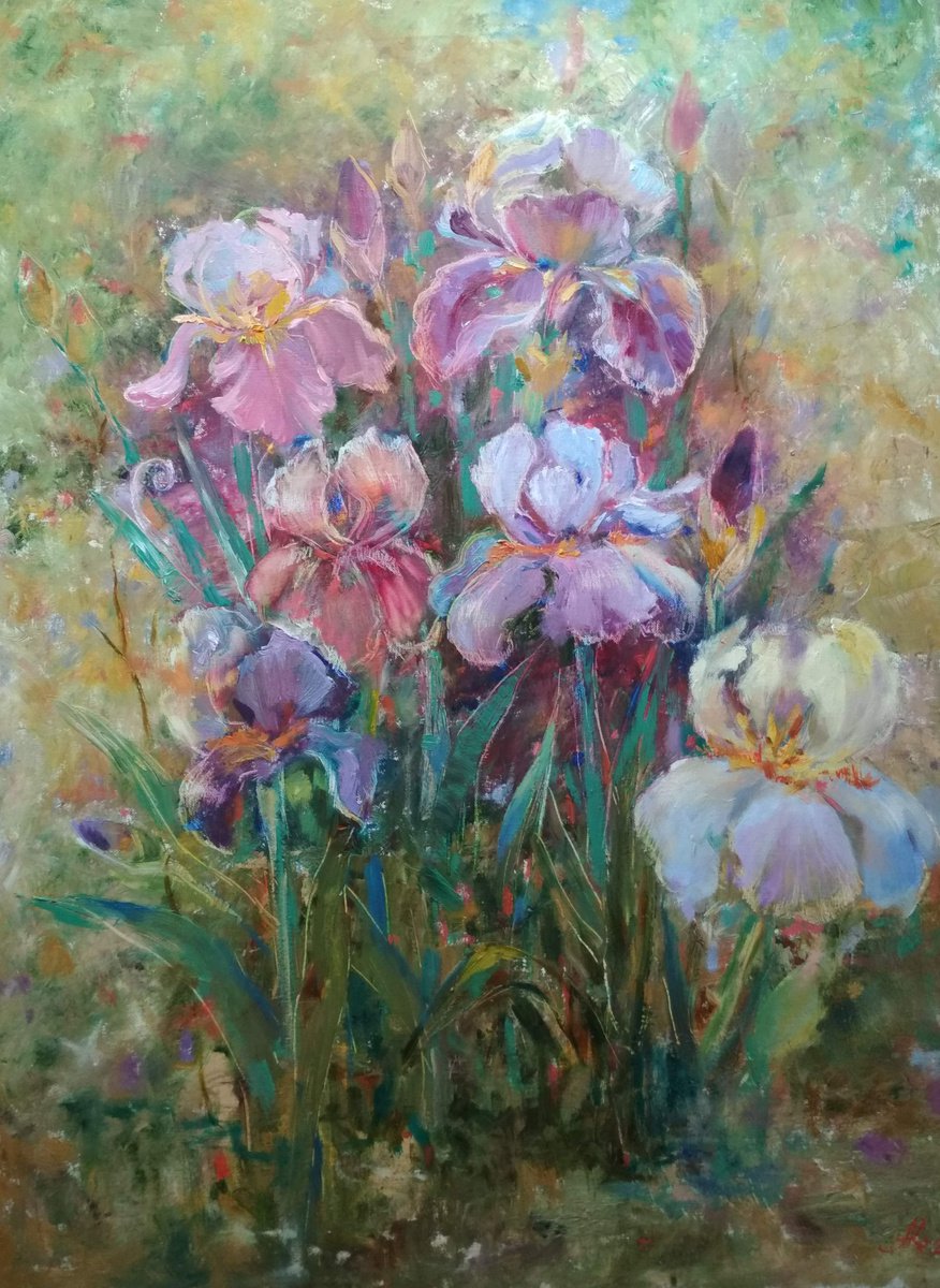 Irises in my garden by Ann Krasikova
