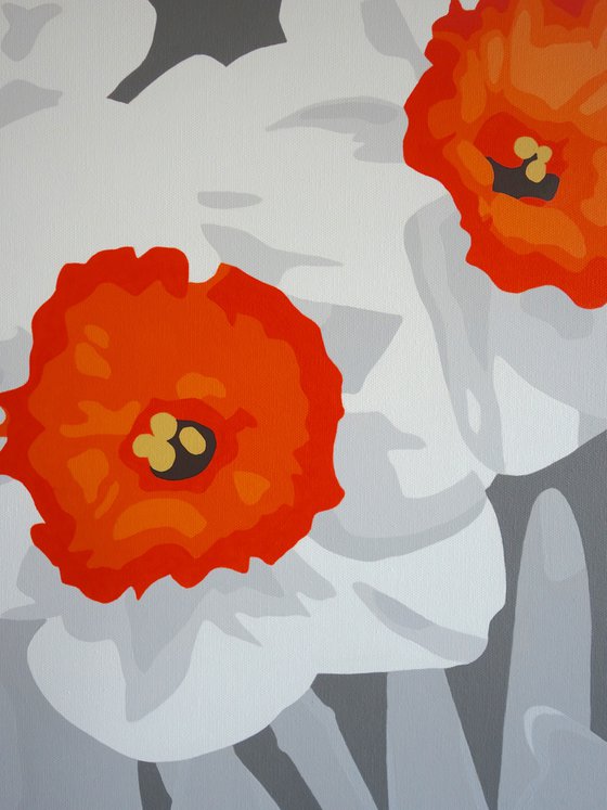 Orange & White Daffodils