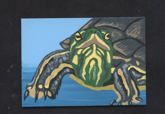 ACEO ATC Original Miniature Painting Painted Pet Turtle Wildlife Art-Carla Smale