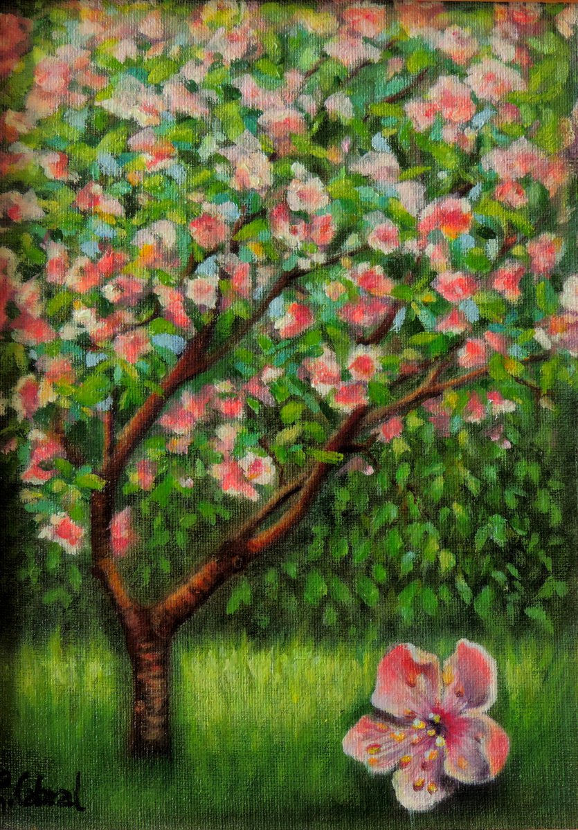 Photorealistic Botanical Oil Painting By Laura Cabral, 7 X 9", Cherry Tree, Original Artwork