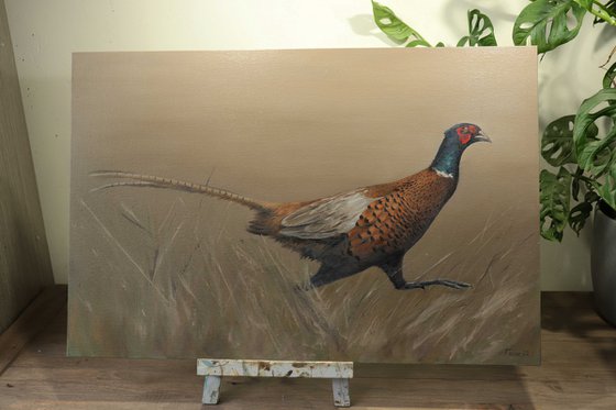 Pheasant Running, Animal Painting, Bird Artwork, Framed Art, Garden Animals, Original not Print, Gun Dog, Hunting